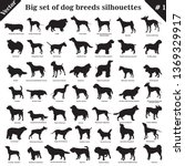 Big Set Of 49 Different Dogs ...