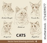 Hand Drawing Set Of A Cats...