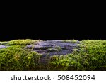 Old Timber With Moss In The...