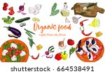 hand drawn organic food... | Shutterstock .eps vector #664538491