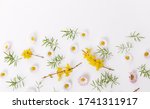 spring frame of small flowers... | Shutterstock . vector #1741311917