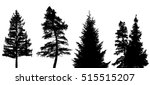 coniferous trees silhouettes on ... | Shutterstock .eps vector #515515207