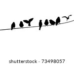 A Silhouette Of Birds On A ...