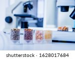 Small photo of Chemical Laboratory of the Food supply . Food in laboratory, dna modify .GMO Genetically modified food in lab