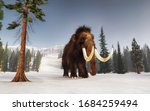Mammoth Walking On Snow Covered ...