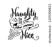 Funny Christmas Quote.naughty...