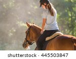 Young girl riding a horse 
