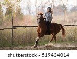 Young Pretty Girl Riding A Horse