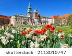 Wawel Castle And Tulip Flowers...
