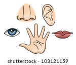 Part of Face Clip Art, Vector Part of Face - 1000 Graphics - Clipart.me