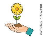 hand with beautiful sunflower... | Shutterstock .eps vector #1058602181