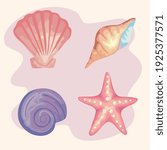 bundle of four sea shells... | Shutterstock .eps vector #1925377571