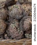 Small photo of Dried rose of Jericho Selaginella lepidophylla. Used as natural vegetable hygrometer