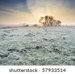 Frosted Autumn Meadow At Dawn