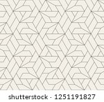 pattern with thin straight... | Shutterstock .eps vector #1251191827