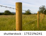 Barbed Wire Fence In The...