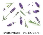 Lavender flowers isolated on white background. Top view, flat lay