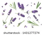 Lavender Flowers Isolated On...