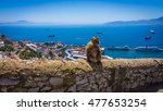 Monkey In Gibraltar