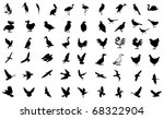 bird symbol | Shutterstock . vector #68322904