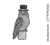 Owl Bird In Top Cylinder Hat...