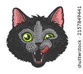 cat head face color green eyes... | Shutterstock .eps vector #2157849441