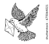 Postal Dove With Letter Vector...