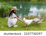 Woman feed the goose at lakeside