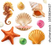 shell  snail  mollusk  starfish ... | Shutterstock .eps vector #1053834437