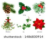 Plants  Christmas Decorations....