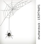 spider web vector | Shutterstock .eps vector #152974691