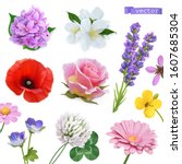 spring flowers. lilac  jasmine  ... | Shutterstock .eps vector #1607685304
