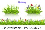 wild flowers  forb alpine... | Shutterstock .eps vector #1928763377