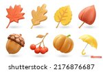 Autumn. Maple leaf, oak, poplar, physalis, acorn, rowan, pumpkin, umbrella. 3d vector icon set