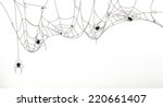 spiders and spider web  vector... | Shutterstock .eps vector #220661407