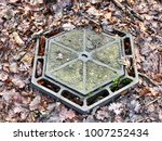 Manhole Drain Cover In Woodland ...