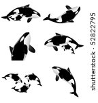 Orca Collection