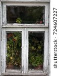 Small photo of Window with potted flowers creates narrow-minded feminine touch. Dying Russian village. women's affairs