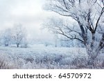 Winter Evening Landscape With...