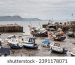 Small photo of LYME REGIS, DORSET, UK - MAY 7 2023: View of the Cobb and harbour with boats and tide out.