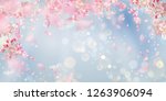 flying petals on a blue... | Shutterstock .eps vector #1263906094
