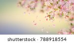vector background with spring... | Shutterstock .eps vector #788918554