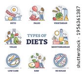 types of diets and nutrition... | Shutterstock .eps vector #1956361387