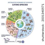 classification of plant kingdom ... | Shutterstock .eps vector #2031340571