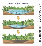 Aquatic Succession And...