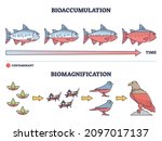 bioaccumulation vs... | Shutterstock .eps vector #2097017137