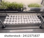 Small photo of SARASOTA, FL, USA - JAN. 10, 2024: Mobile cart with green plants and labeled Petri dishes in a new plant research laboratory, part of a multiyear expansion downtown at Marie Selby Botanical Gardens.