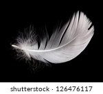 White Swan Feather Isolated On...