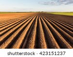 Furrows row pattern in a plowed field prepared for planting crops in spring. Horizontal view in perspective.