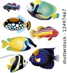 Tropical Fish Collection  ...